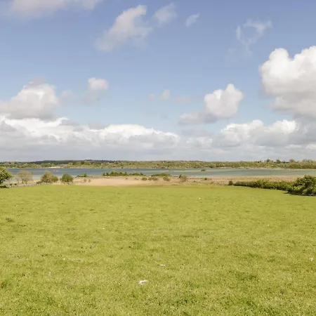 Cartron Ballintober (Mayo)