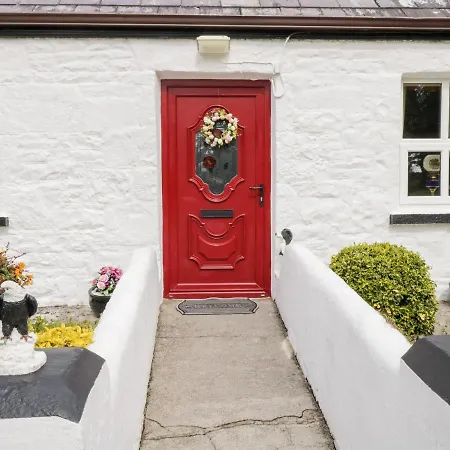 Cartron Ballintober (Mayo)