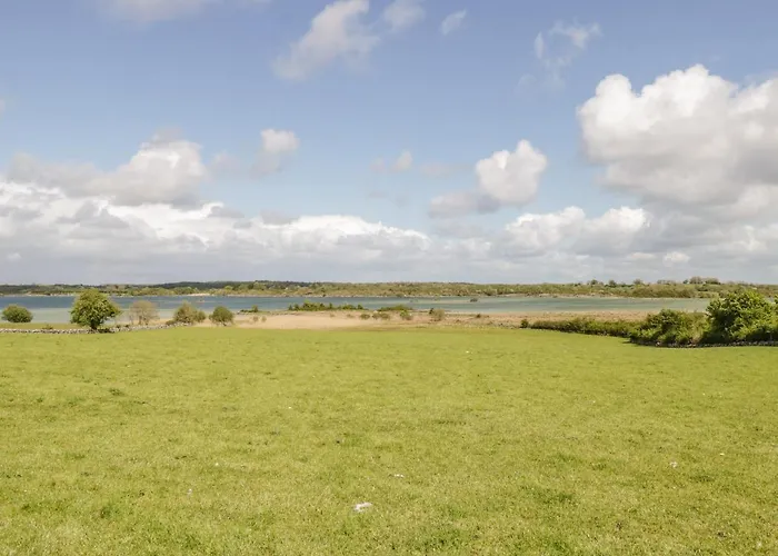 Cartron Ballintober (Mayo)