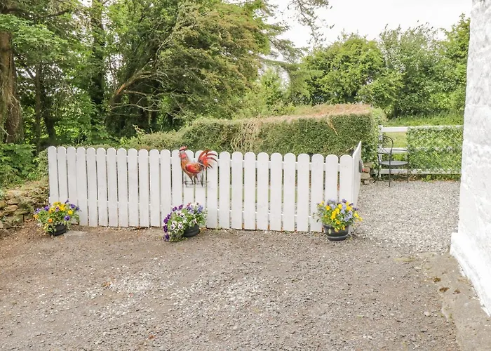 Cartron Ballintober (Mayo)